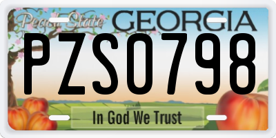 GA license plate PZS0798