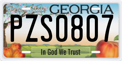GA license plate PZS0807