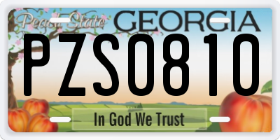 GA license plate PZS0810