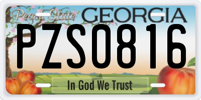 GA license plate PZS0816
