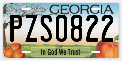 GA license plate PZS0822
