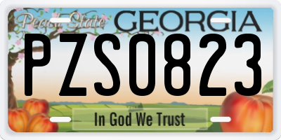 GA license plate PZS0823