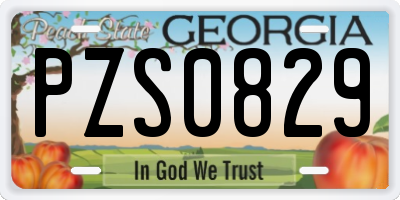 GA license plate PZS0829