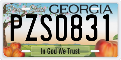 GA license plate PZS0831