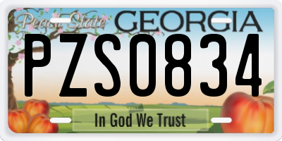 GA license plate PZS0834