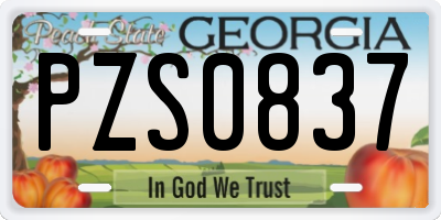 GA license plate PZS0837