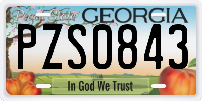 GA license plate PZS0843