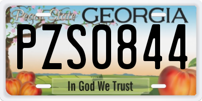 GA license plate PZS0844