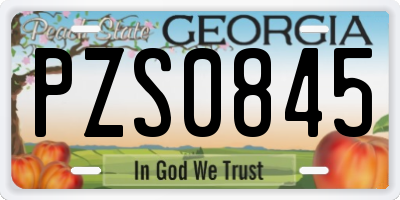 GA license plate PZS0845