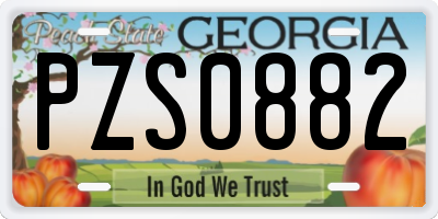 GA license plate PZS0882