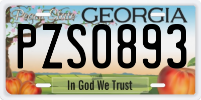 GA license plate PZS0893