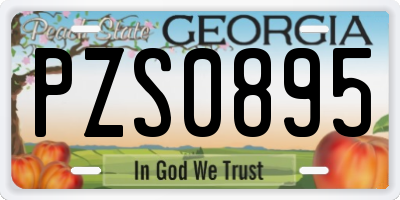GA license plate PZS0895