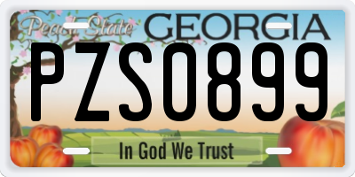GA license plate PZS0899