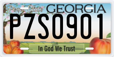 GA license plate PZS0901