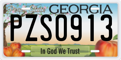 GA license plate PZS0913