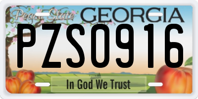 GA license plate PZS0916