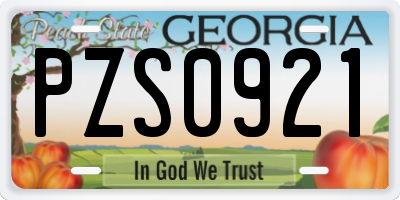 GA license plate PZS0921
