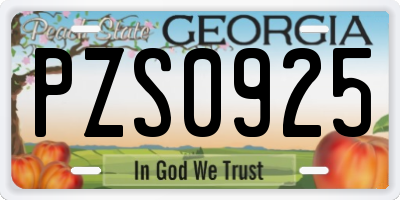 GA license plate PZS0925