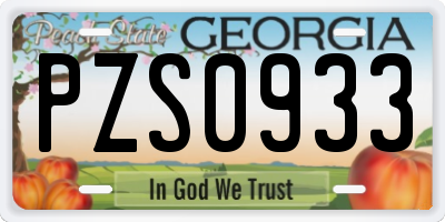 GA license plate PZS0933