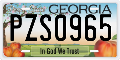 GA license plate PZS0965