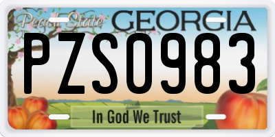 GA license plate PZS0983