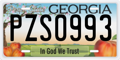 GA license plate PZS0993