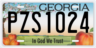 GA license plate PZS1024