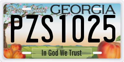 GA license plate PZS1025