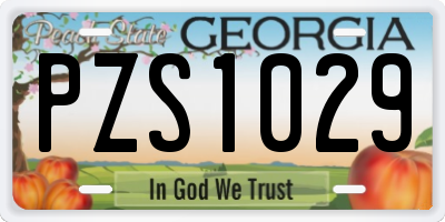 GA license plate PZS1029