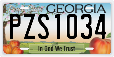 GA license plate PZS1034