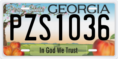GA license plate PZS1036