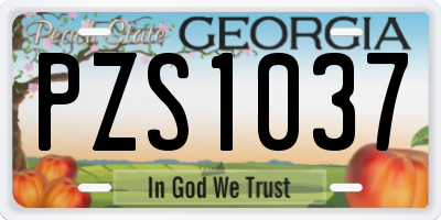 GA license plate PZS1037