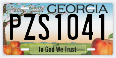 GA license plate PZS1041