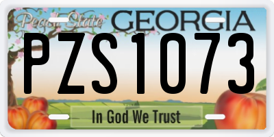 GA license plate PZS1073