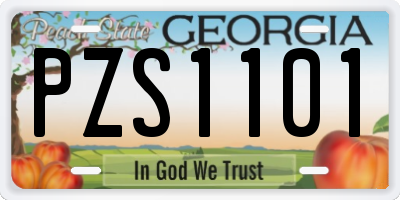 GA license plate PZS1101