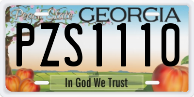 GA license plate PZS1110