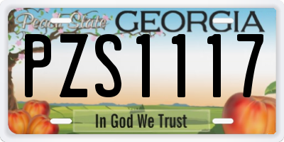 GA license plate PZS1117