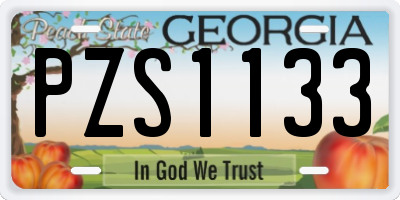 GA license plate PZS1133