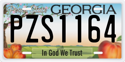 GA license plate PZS1164