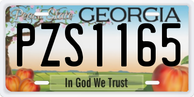 GA license plate PZS1165