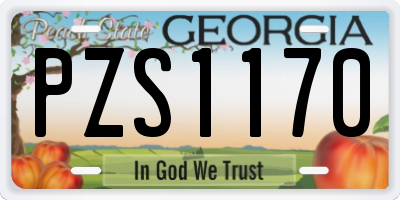 GA license plate PZS1170