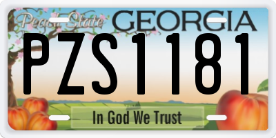 GA license plate PZS1181