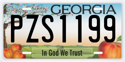 GA license plate PZS1199