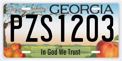 GA license plate PZS1203