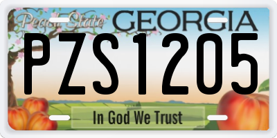 GA license plate PZS1205