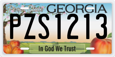 GA license plate PZS1213