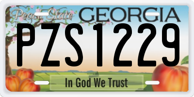 GA license plate PZS1229