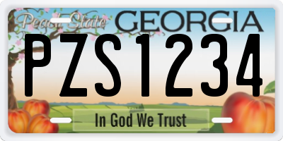 GA license plate PZS1234