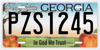 GA license plate PZS1245