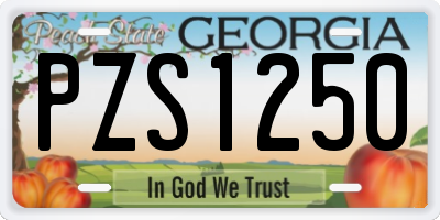 GA license plate PZS1250